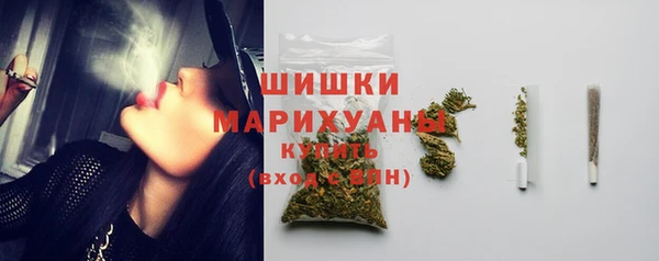 PSILOCYBIN Алзамай