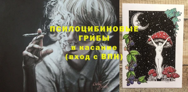 PSILOCYBIN Алзамай
