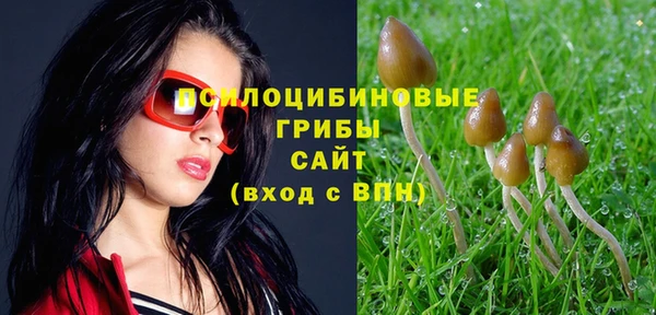 PSILOCYBIN Алзамай