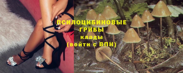 apvp Алексеевка